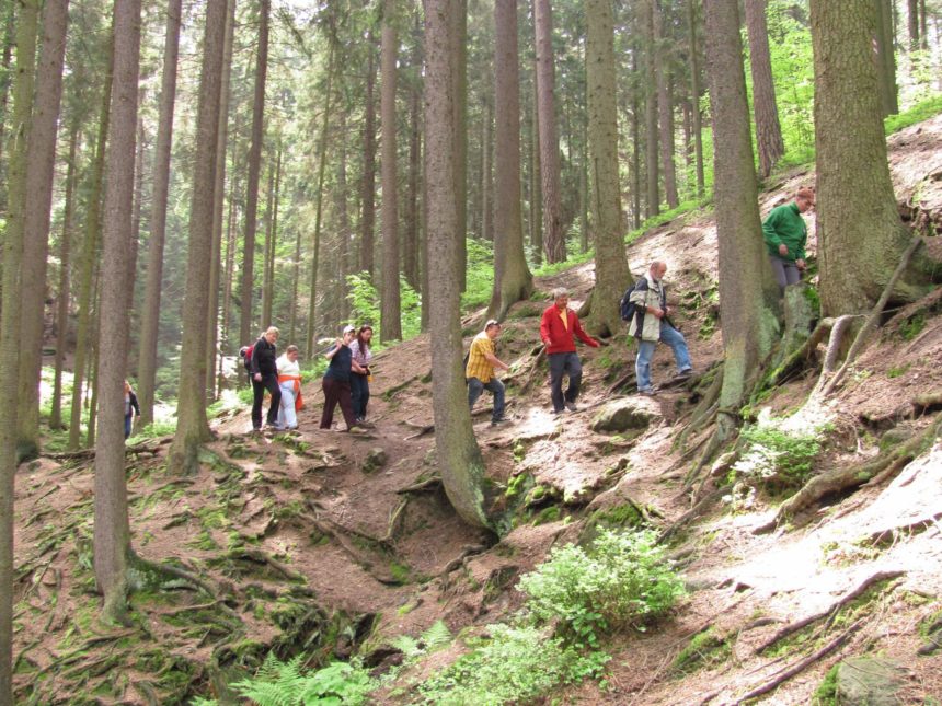 Setkání Borová 2010 – jaro